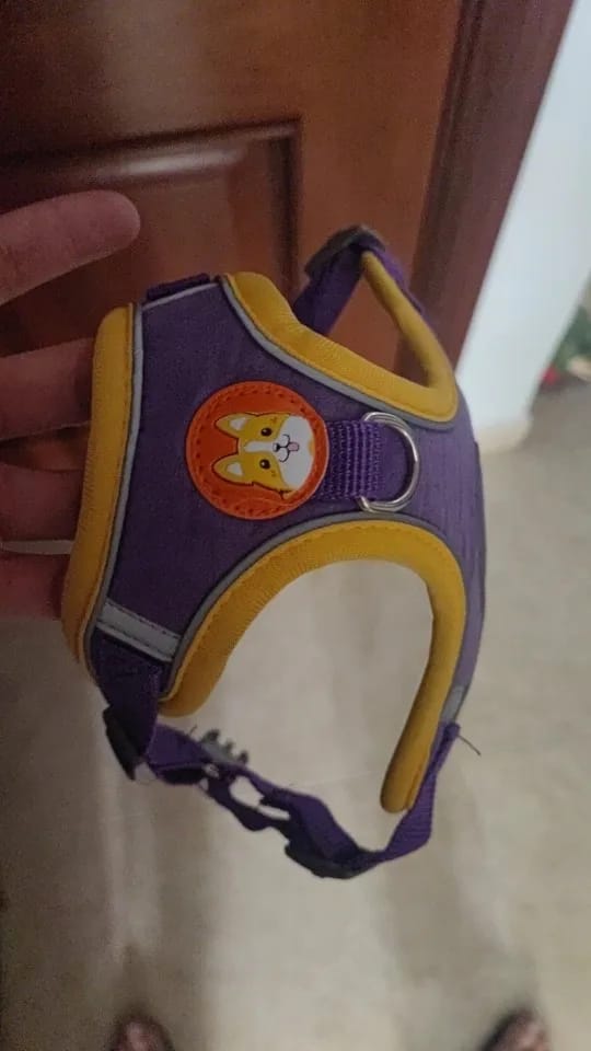 Customer photo review of Reflective Dog Harness and Leash Set - Adjustable Vest and Chest Strap for Puppies and Small to Medium Breeds
