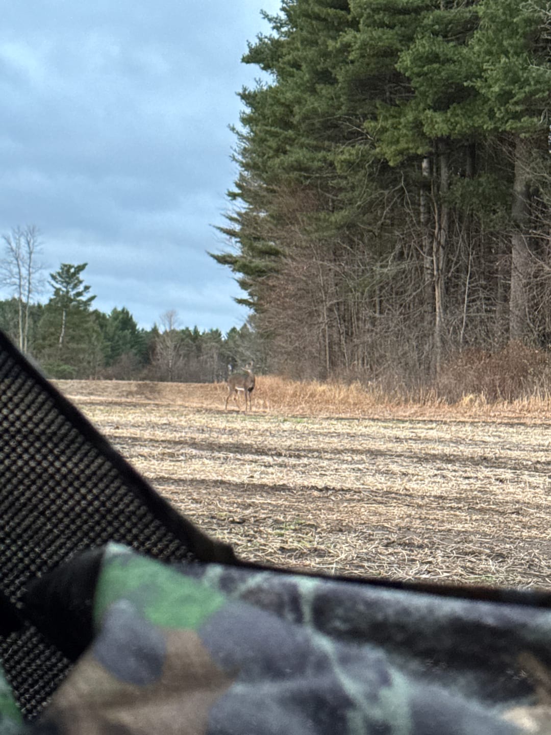 Customer photo review of VisST See-Through Pop-Up Ground Blinds with Silent Magnetic Door