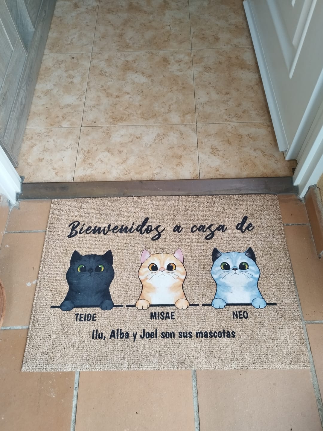 Customer photo review of Bienvenidos a lo de gatos curiosos - Felpudo personalizado