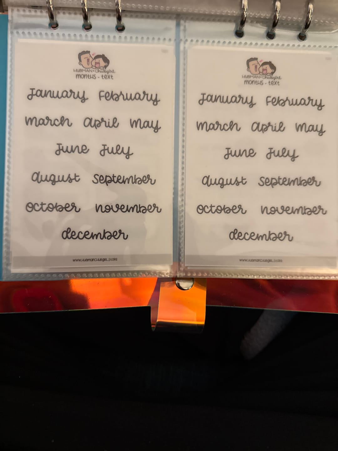 Customer photo review of Months Text Planner Stickers - Script