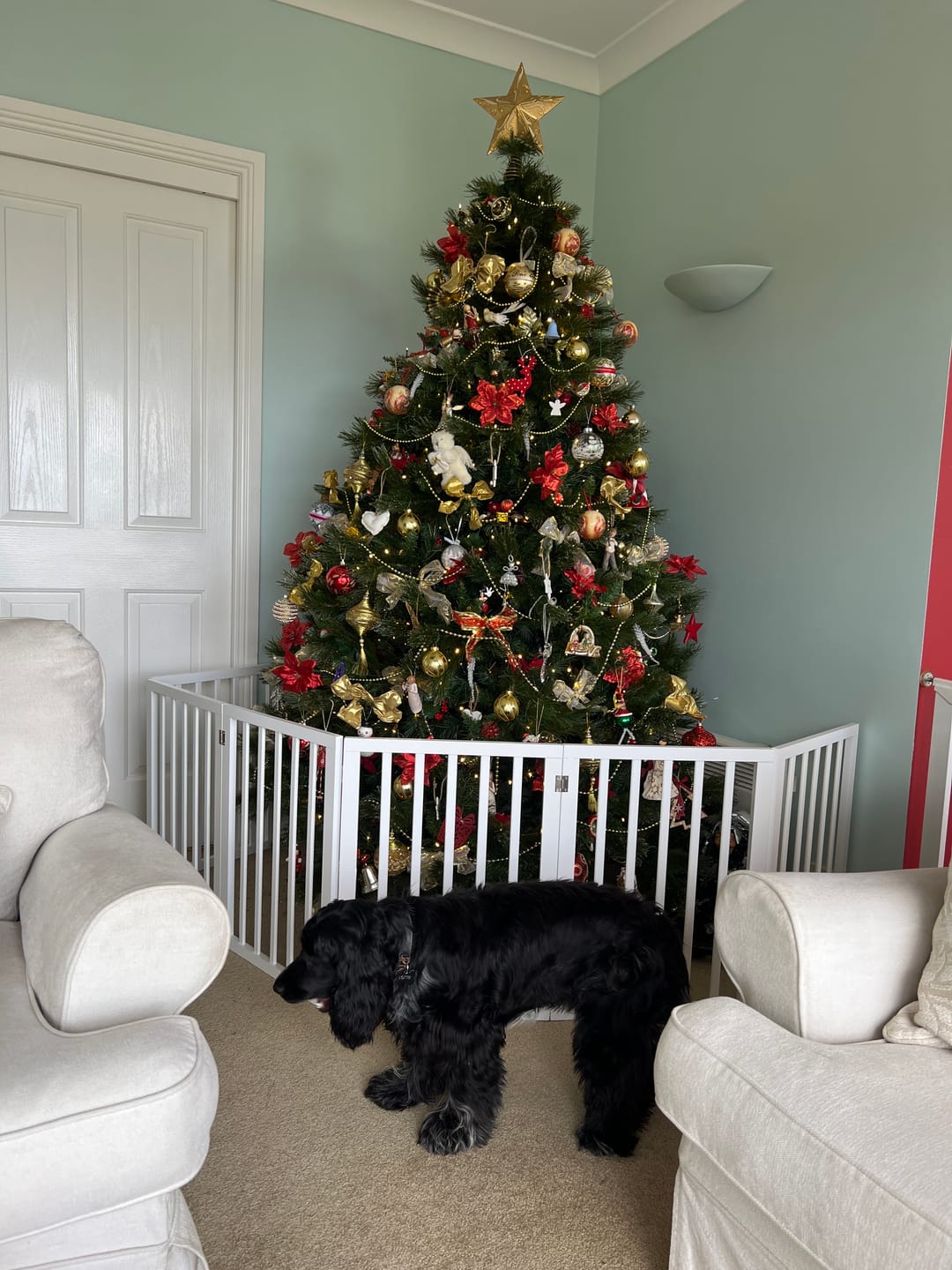Customer photo review of Pawz Wooden Pet Gate