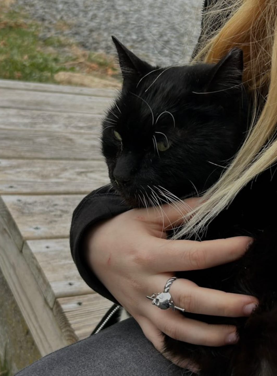 Customer photo review of NIGHTMARE RING