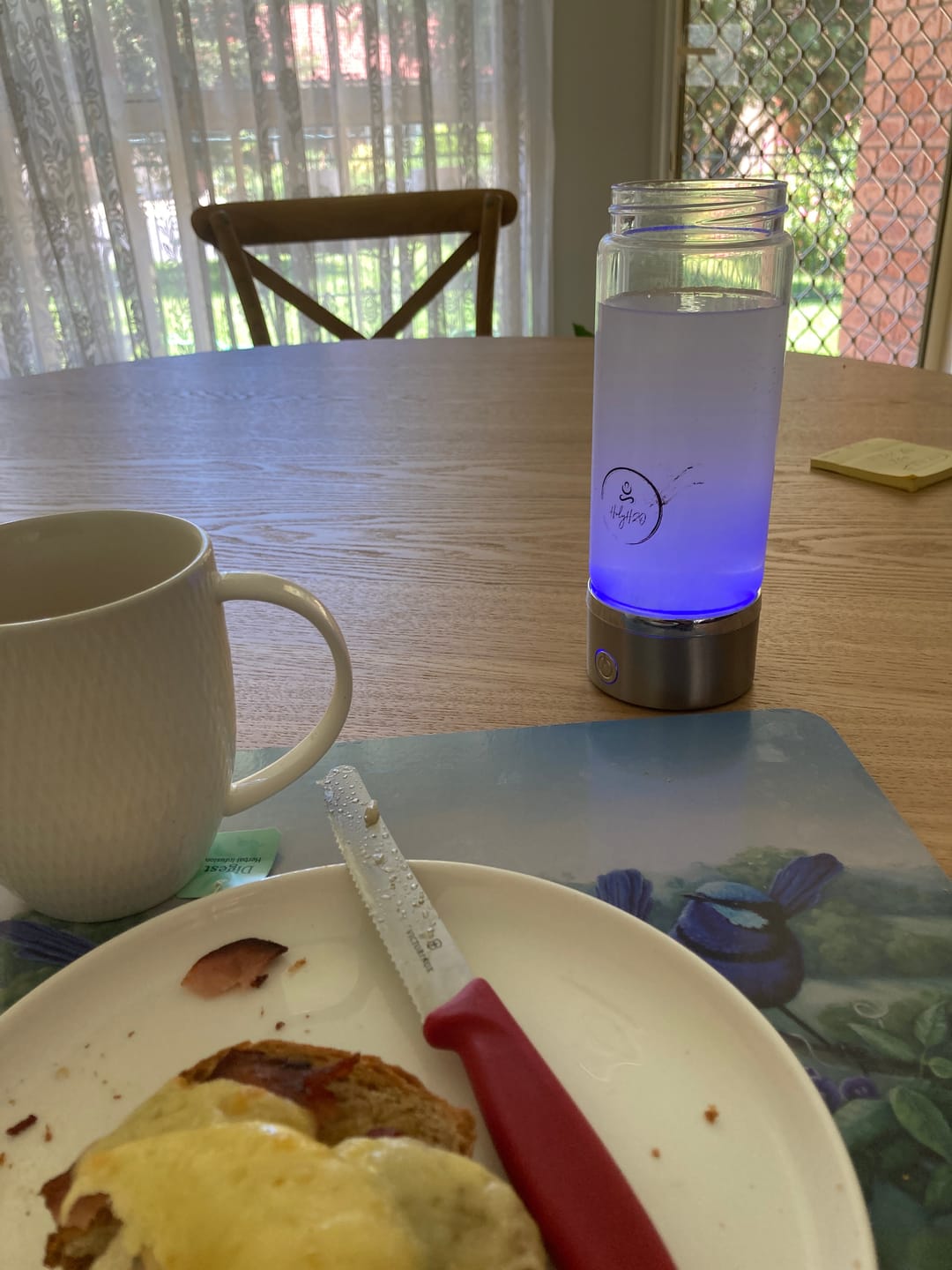 Customer photo review of HolyH₂O™ Hydronizer