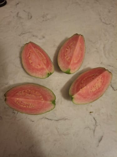 Customer photo review of Watermelon Guava