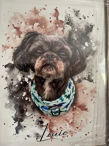 Linda G. review of Your Pet as Watercolor Portrait image 1 out of 1
