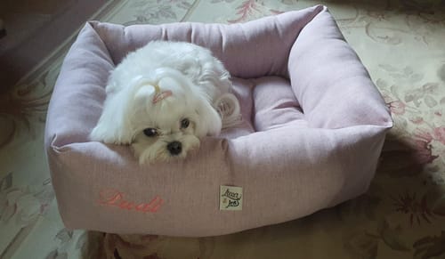 Customer photo review of Divanetto Mattias Rosa Tenue (Soft Touch)