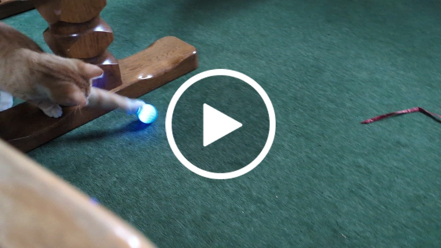 Customer video review of POWER BALL 2.0