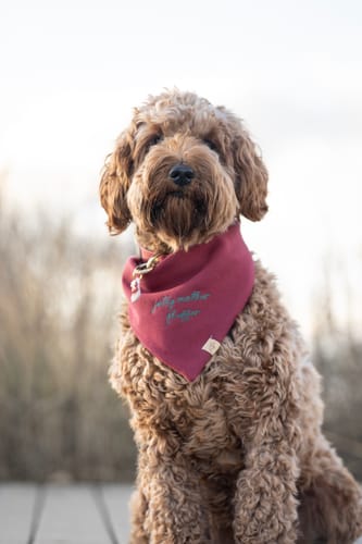 Customer photo review of Custom Saying Embroidered Bandana