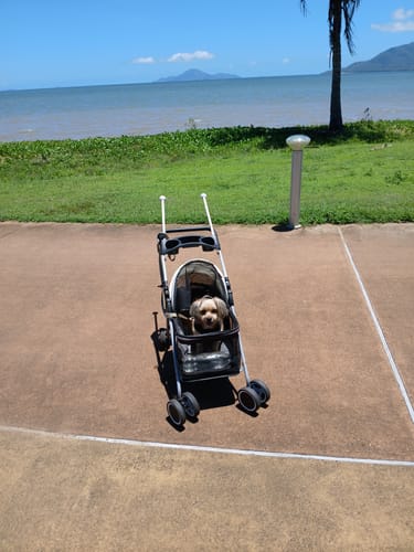 Customer photo review of Pawz Compact & Comfortable Pet Stroller