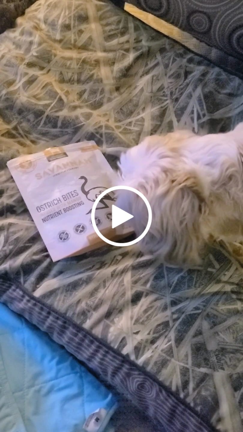 Customer video review of Ostrich Bites with Mango (3oz): The Tropical, Nutrient-Rich Treat for Dogs