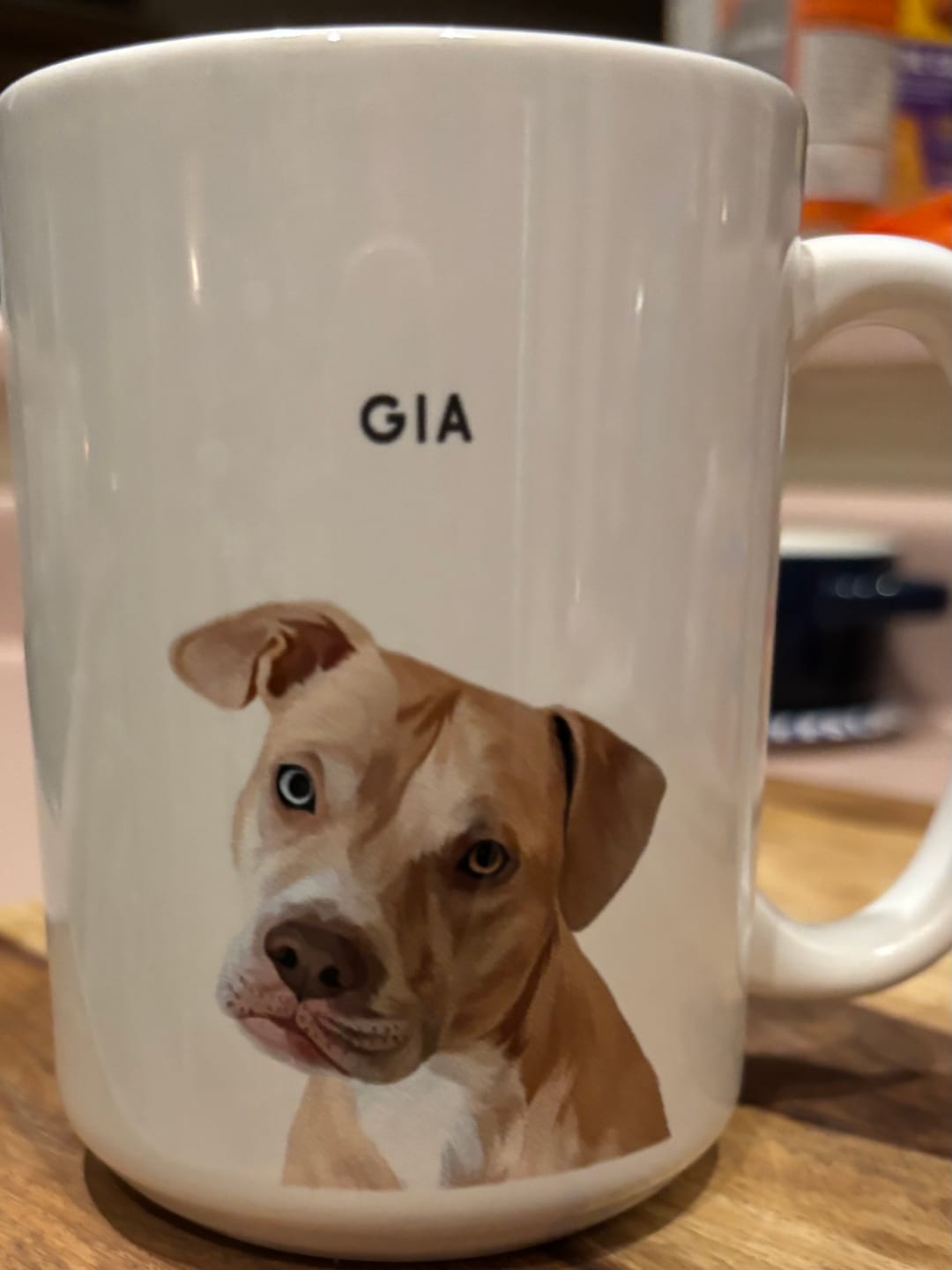 Customer photo review of Custom Pet Portrait Mug