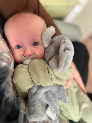 Customer photo review of Bella Tunno x Taking Cara Babies Lovey Elephant 3-Pack