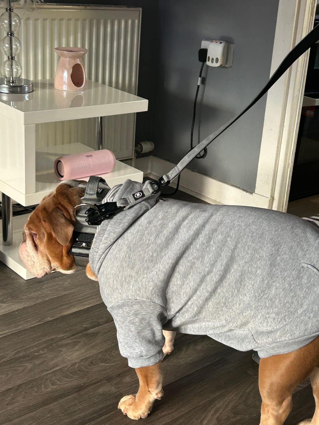 Customer photo review of 1.4m Swivel Combat Lead | Anti-Tangle & Secure Clip - Metal Grey