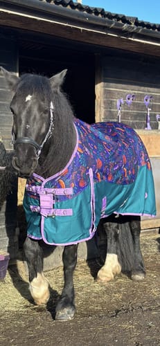Customer photo review of NEW! Enchanted Forest Turnout Rug (50g-100g)