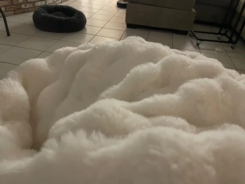Customer photo review of Nordic Cozy Blanket