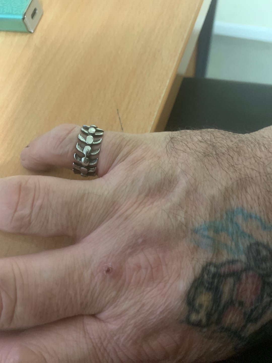 Customer photo review of STEEL SPINE.