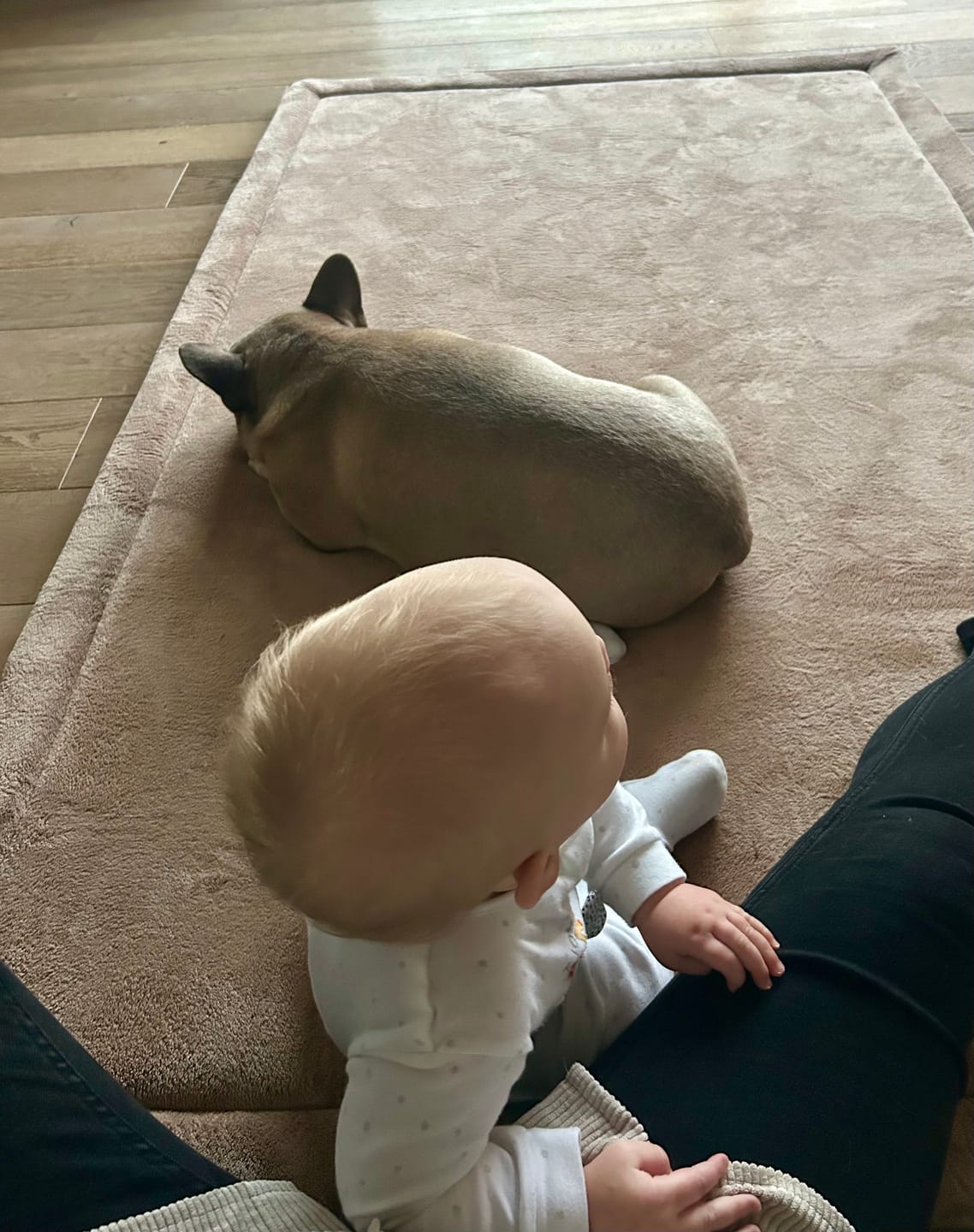 Customer photo review of Coffee Light Brown Baby Play Mat
