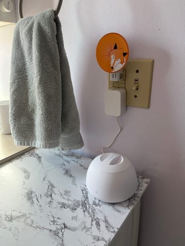 Customer photo review of Dental Pod