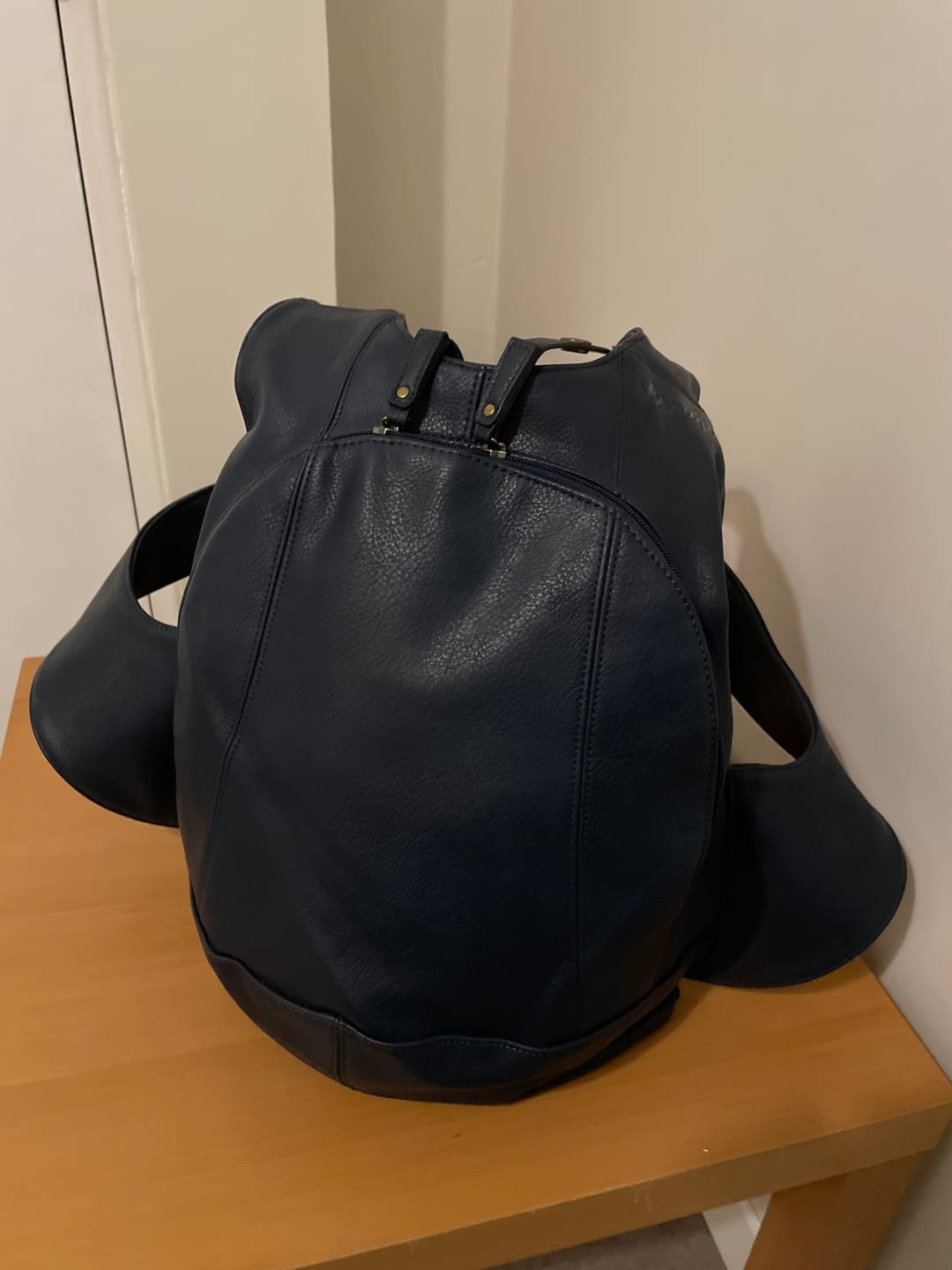 Customer photo review of Le sac à dos Original - Ergonomique et Antivol