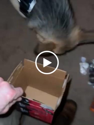 Customer video review of Wild Cherry THC Seltzer, 6pk