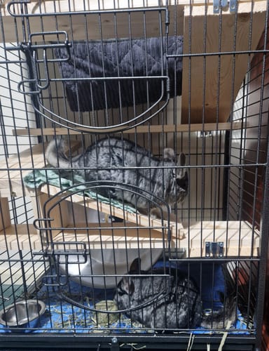 Customer photo review of Taster Pack