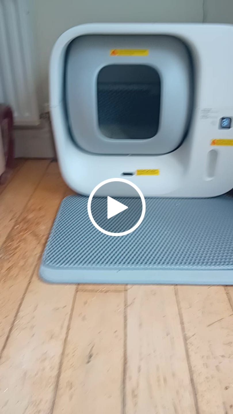Customer video review of Furbulous Box