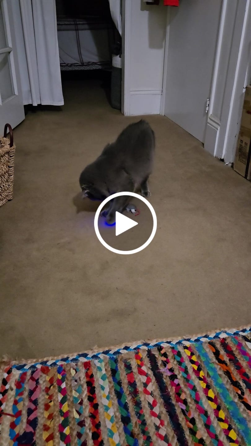 Customer video review of POWER BALL 2.0