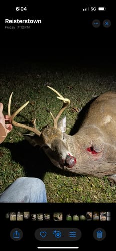 Customer photo review of Beast Broadheads