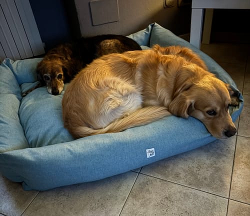 Customer photo review of Divanetto Mattias Azzurro (Soft Touch)