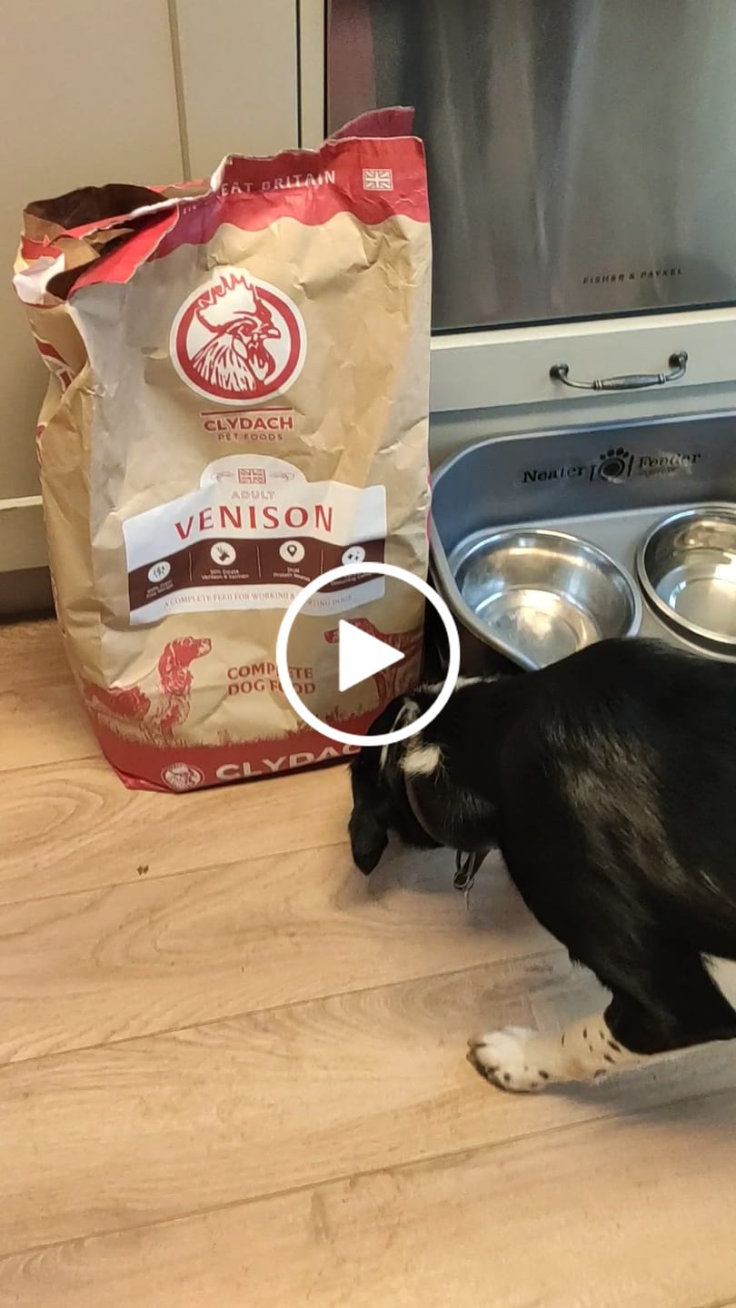 Customer video review of British Venison Dry Food