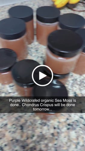 Customer video review of Raw Royal Purple Sea Moss