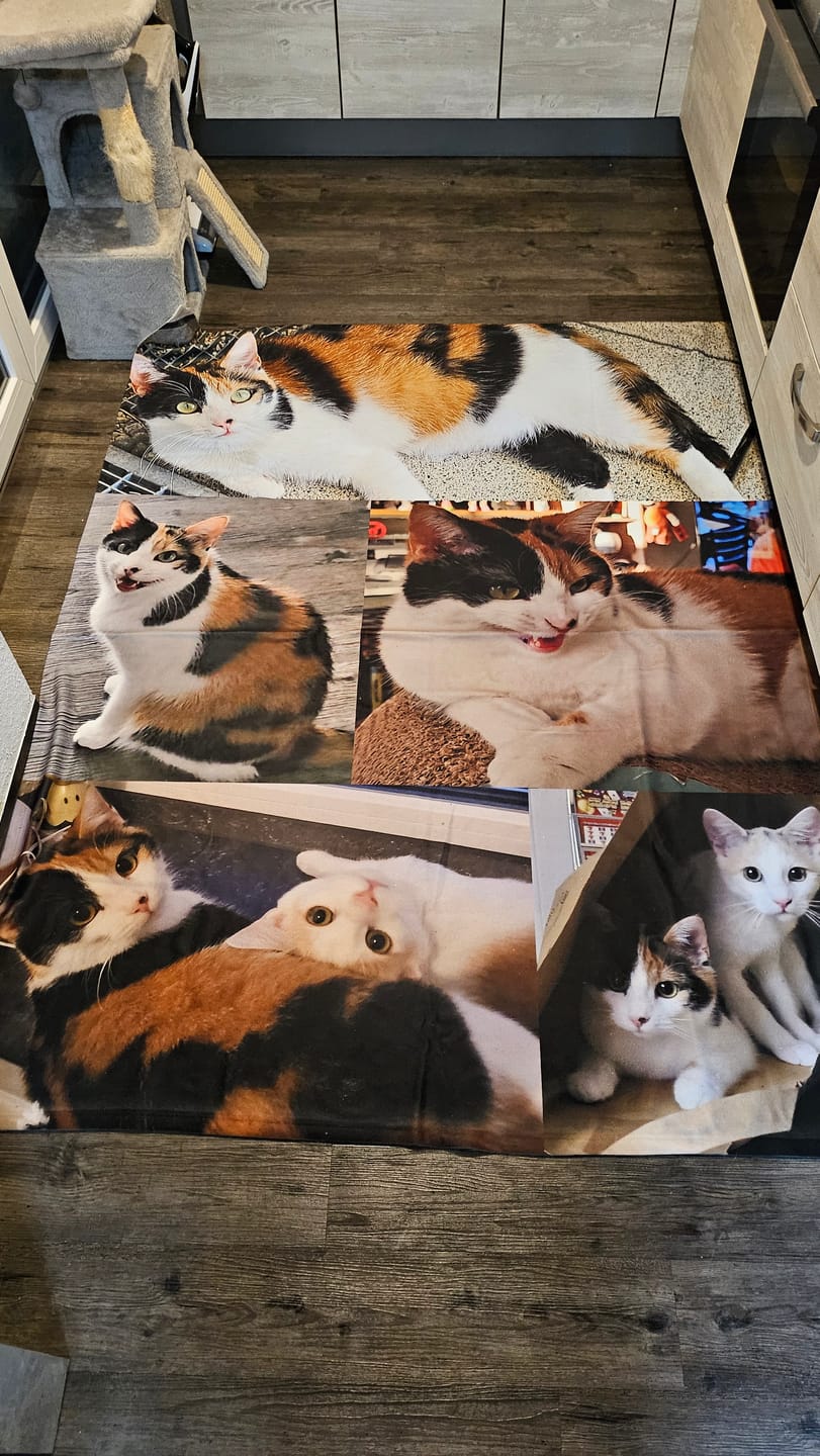 Customer photo review of Eigenes Foto - Individuelle Decke