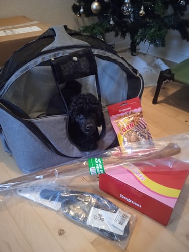 Customer photo review of Companion - Transporttaske
