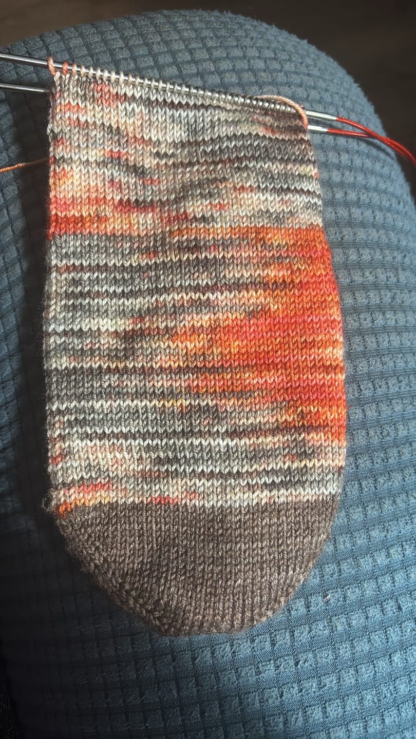 Customer photo review of Sock Premium Fingering