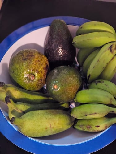 Customer photo review of Avocado