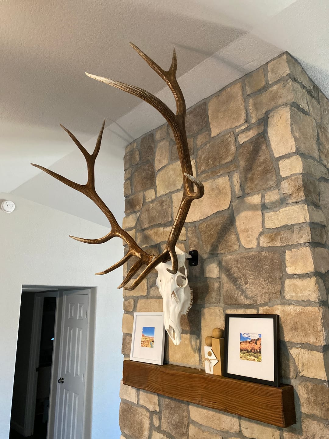 Customer photo review of SkulLok | Large Game