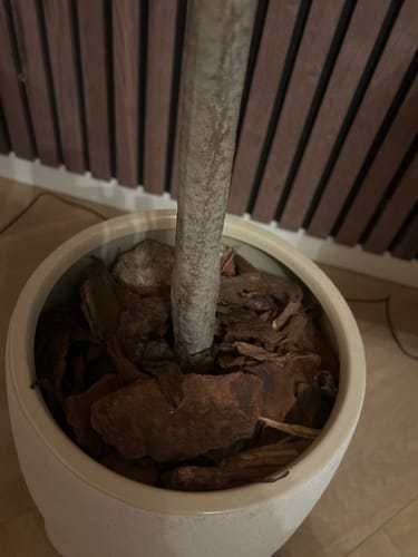 Customer photo review of 10 liter Frans Boomschors