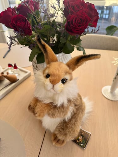 Customer photo review of Hansa Creation Bunny 30cm
