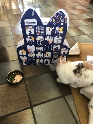 undefined review of Le Calendrier de l'Avent Magic'Bunny image 1 out of 1