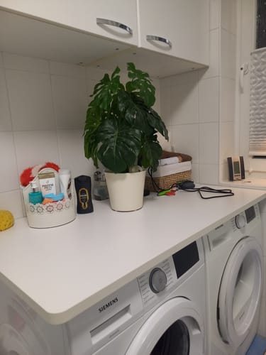 Customer photo review of TISCHPLATTE