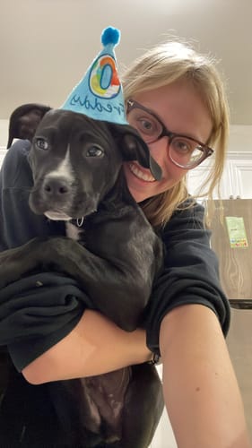 Customer photo review of Personalized Dog Party Pack