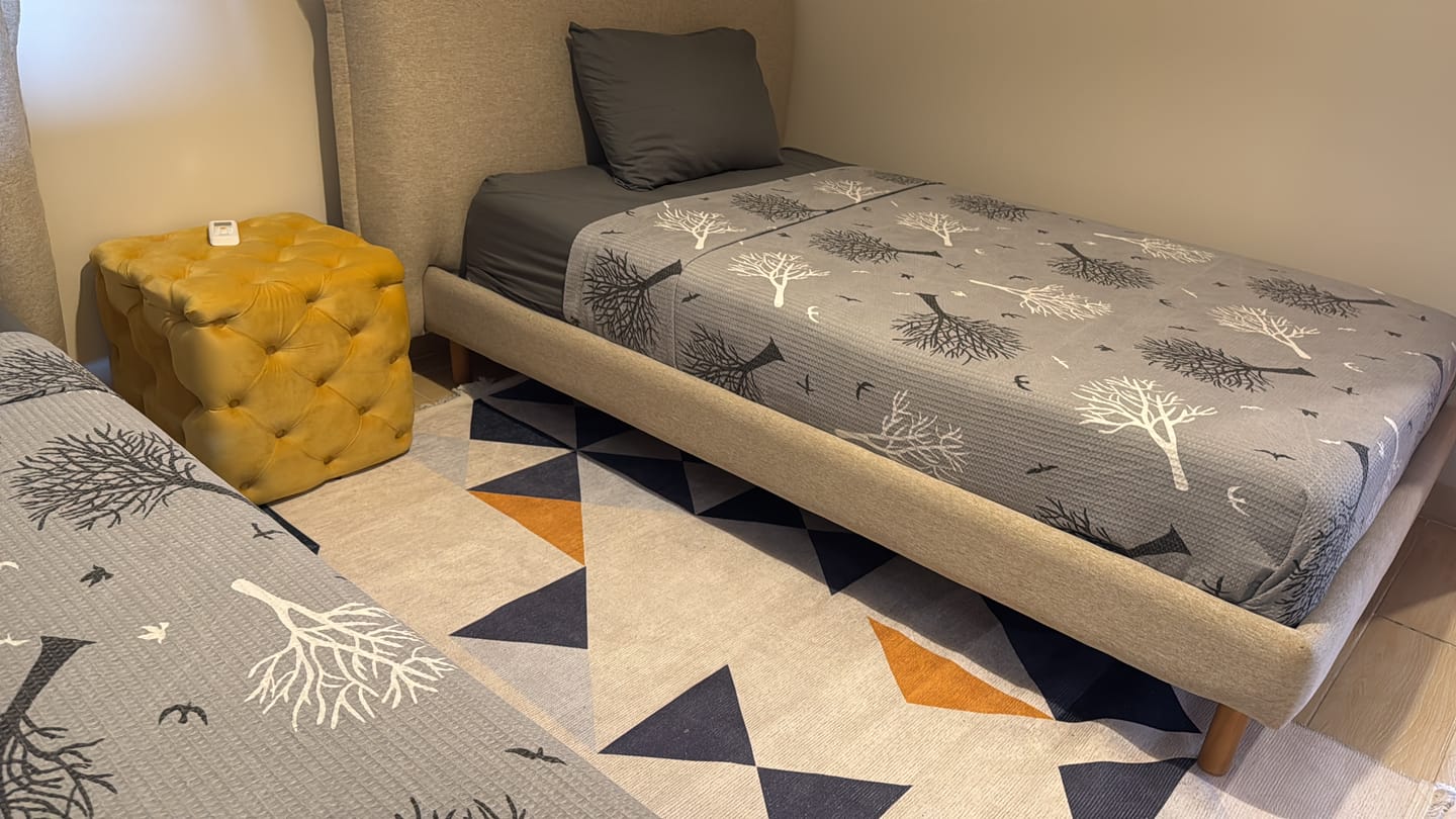 Customer photo review of Marieta Digital Abstract Rug