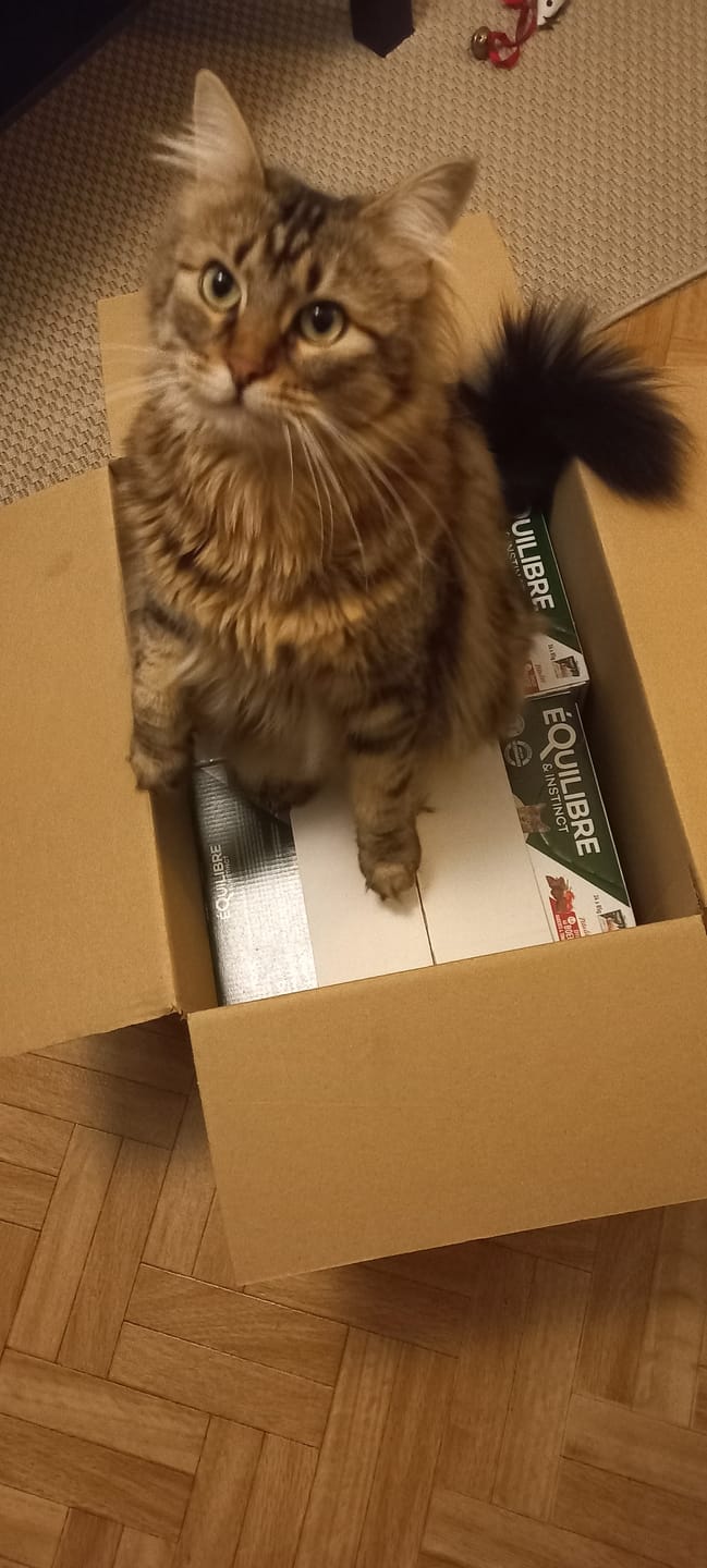 Customer photo review of Multipack d'effilés (chat stérilisé et chat adulte)