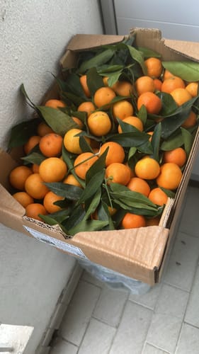 Thierry R. review of Clémentines Bio - Origine Corse image 1 out of 1