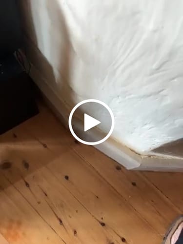 Customer video review of Horizons Edge