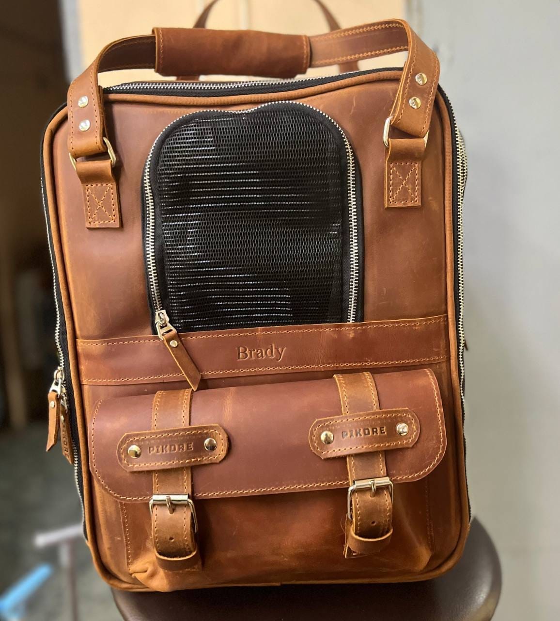 Customer photo review of Leather Pet Backpack