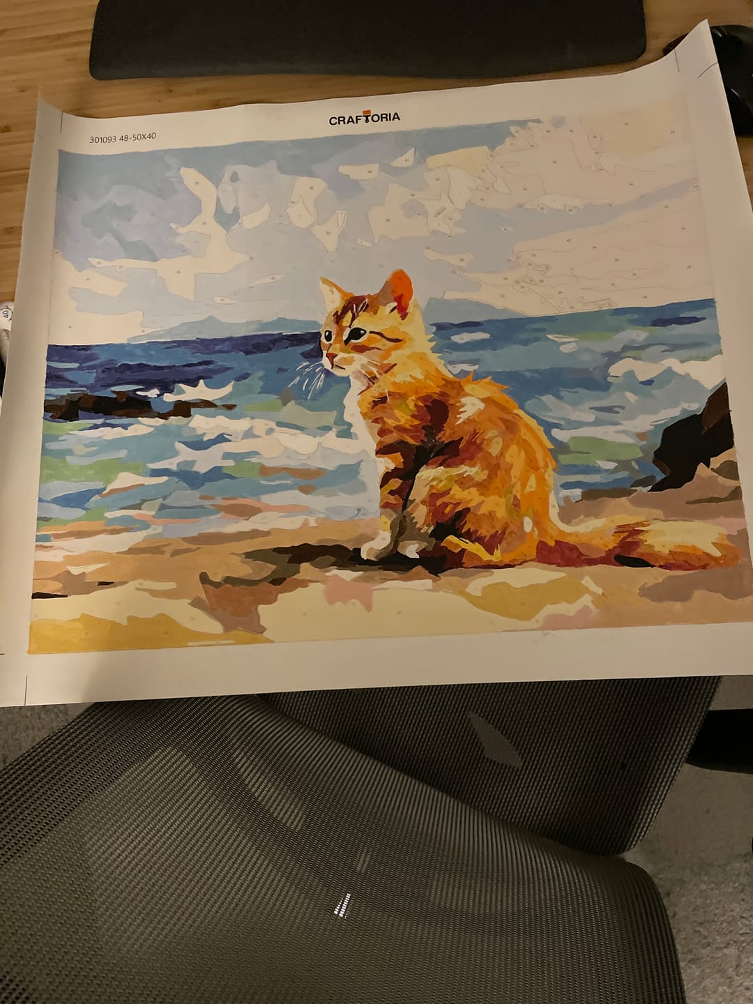 Customer photo review of Beach Kitten