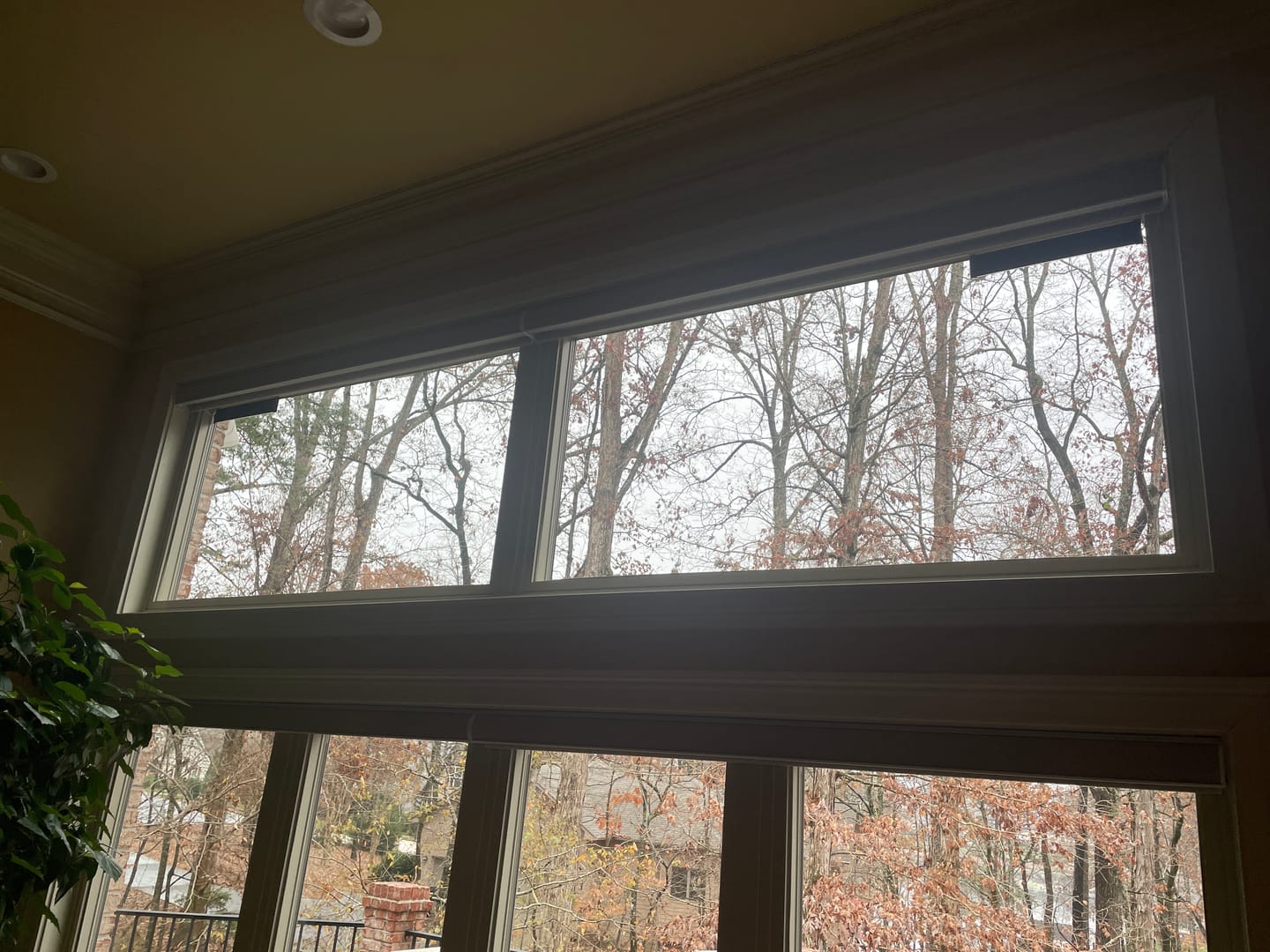 Customer photo review of Solar Panel