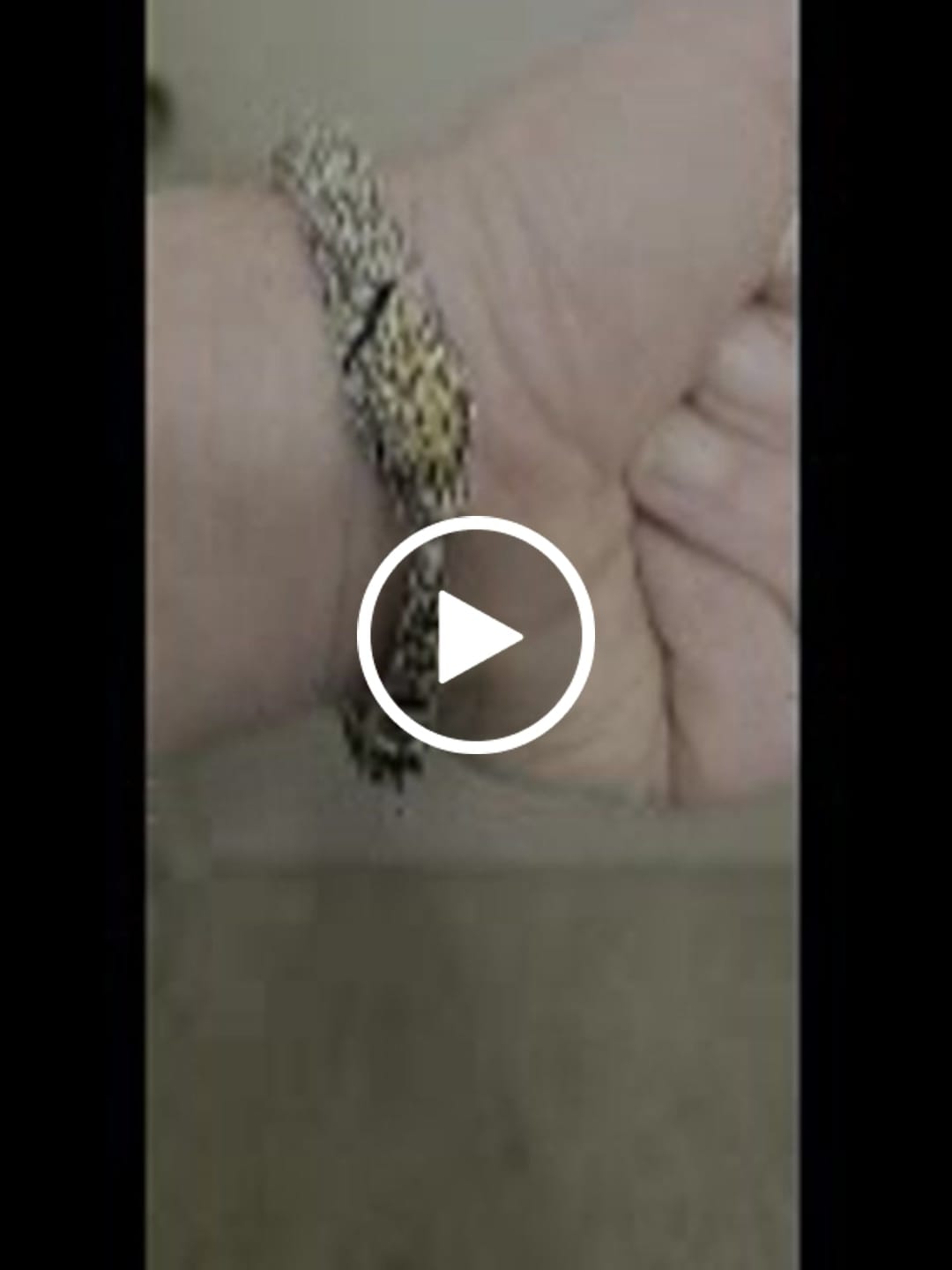 Customer video review of JÖRMUNGANDR - The World Serpent Bracelet | Handcrafted Stainless Steel Viking Jewelry