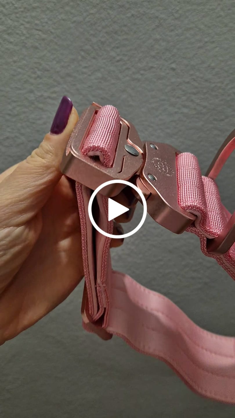 Customer video review of 5cm Lighter Combat® Collar | With Handle Secure Clip - Pink x Pink